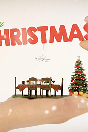 Teeny Tiny Christmas