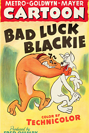 Bad Luck Blackie