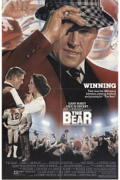 The Bear
