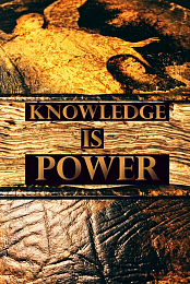 KnowledgeIsPower - Why Do We Keep Conforming to the LIE(s) and I