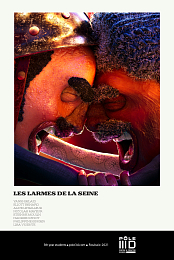 The Seine's Tears