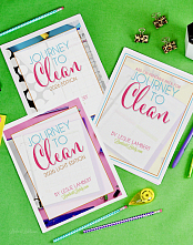 Journey to Clean 2026 Collection (Lamberts Lately)