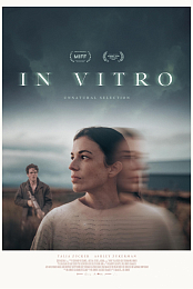 In Vitro