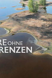 Tiere ohne Grenzen