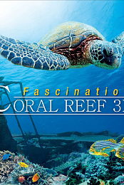 Fascination Coral Reef 3D