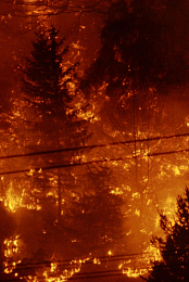 Climate Change - The Final Cut