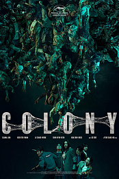 Colony