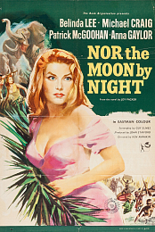Nor the Moon by Night