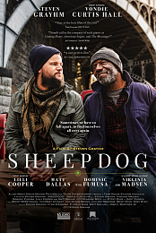 Sheepdog