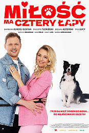 Milosc ma cztery lapy