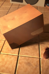 The Box
