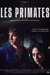 Primates
