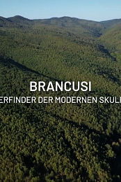 Brancusi: les metamorphoses de la sculpture