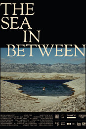 The Sea in Between