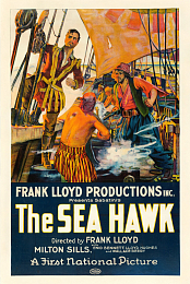 The Sea Hawk