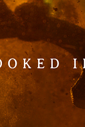 Crooked Iron