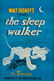 The Sleep Walker