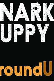 Snarky Puppy: groundUP