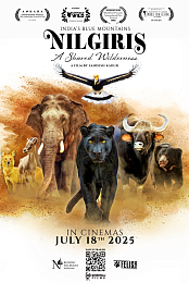 Nilgiris: A Shared Wilderness