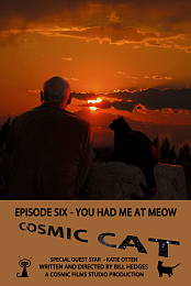 You Had Me at Meow