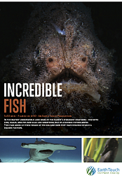 Incredible Fish