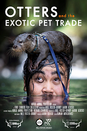 Otters and the Exotic Pet Trade
