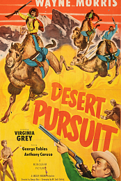 Desert Pursuit
