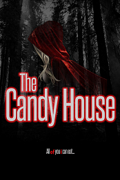 The Candy House