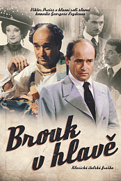 Brouk v hlave