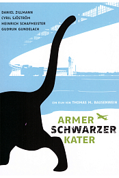 Armer schwarzer Kater