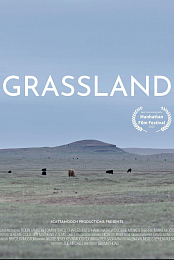 Grassland