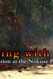 Working with Fire
