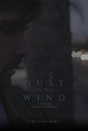 Dust in the Wind