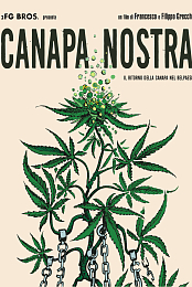 Canapa nostra