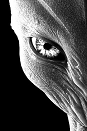 Beyond 5 Senses - ET Contactees