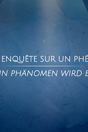Le jeune, enquete sur un phenomene