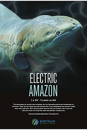 Electric Amazon