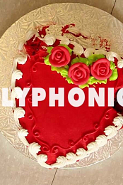 The Polyphonic Spree: Golden