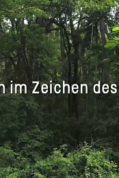 Une vie en foret
