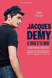 Jacques Demy, the Pink and the Black
