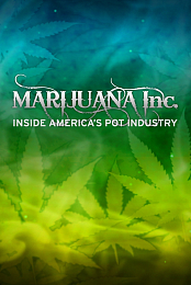 Marijuana Inc: Inside America's Pot Industry