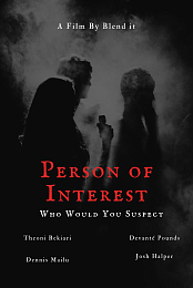 Person of Interest