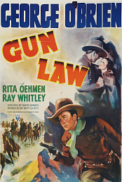 Gun Law