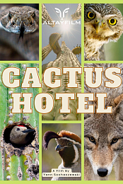 Cactus Hotel
