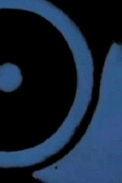 Opus II