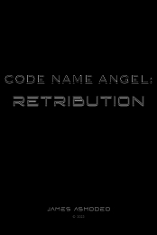 Code Name Angel: Retribution