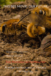 The Bee Movie