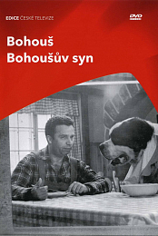 Bohousuv syn