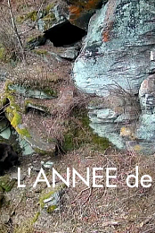 L'annee de l'ours