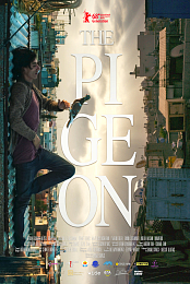 The Pigeon